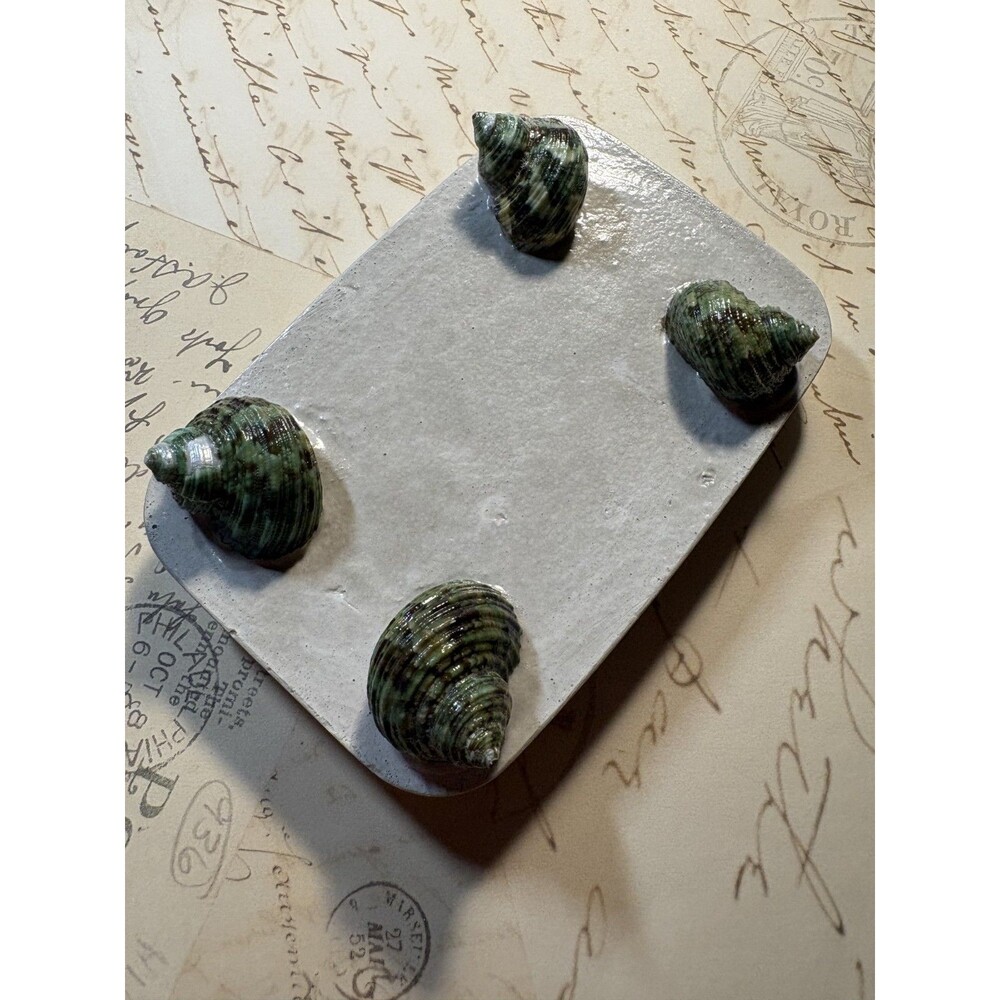 Handmade Soap Dish Cement Soap Holder Bathroom Kitchen Green Snail Shells